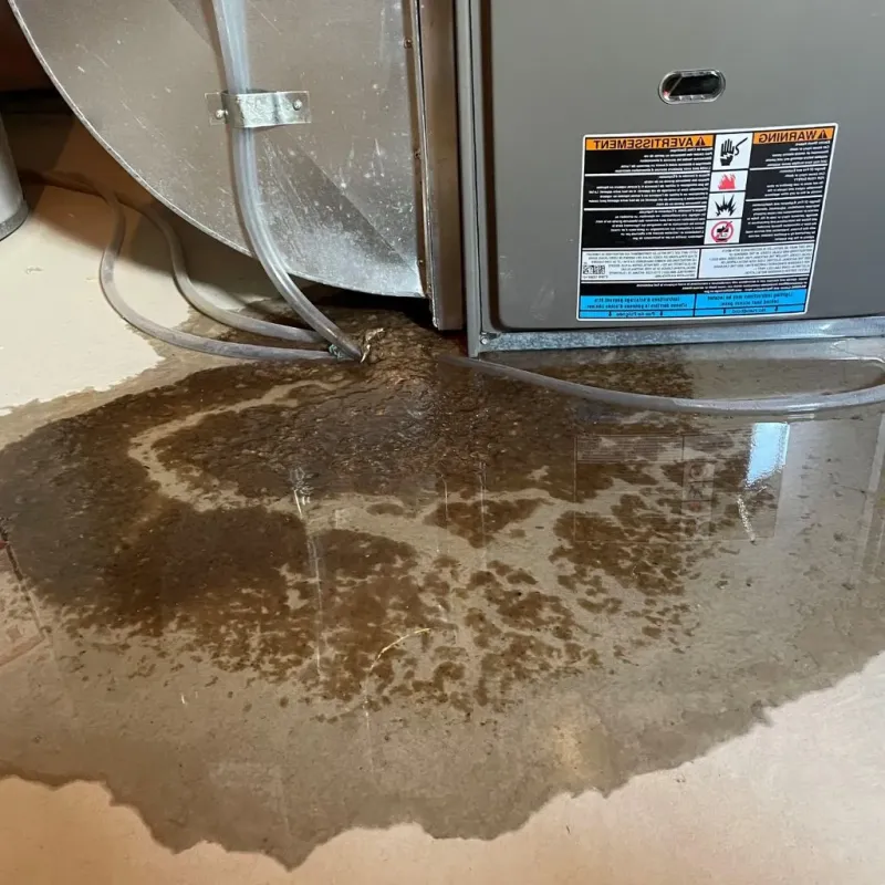 Pipe Burst and Leak Restoration in Tilton, NH