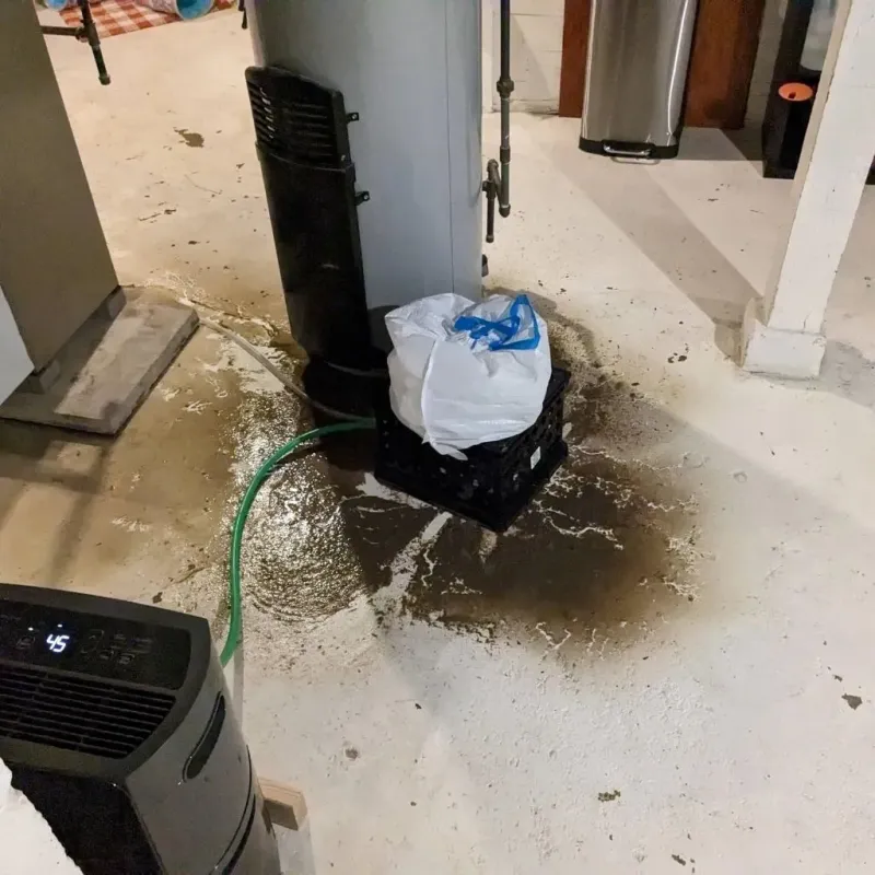 Sewage Backup Cleanup Service in Tilton, NH